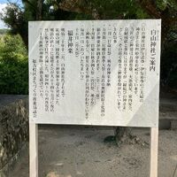 画像1455