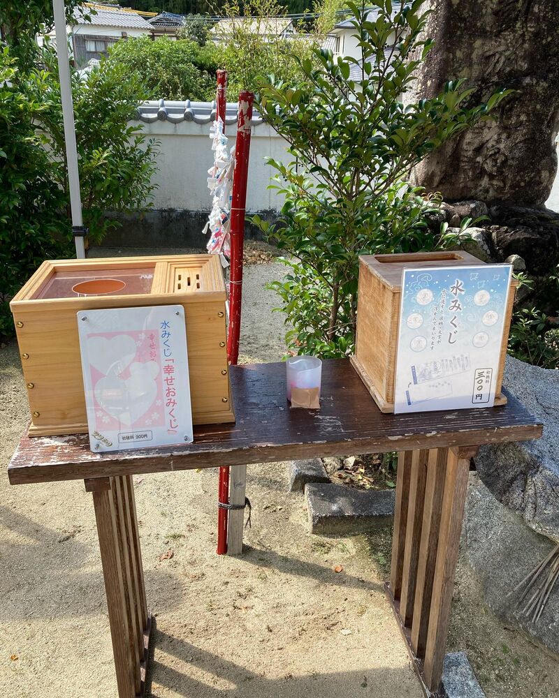 画像1456