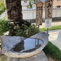 画像1457