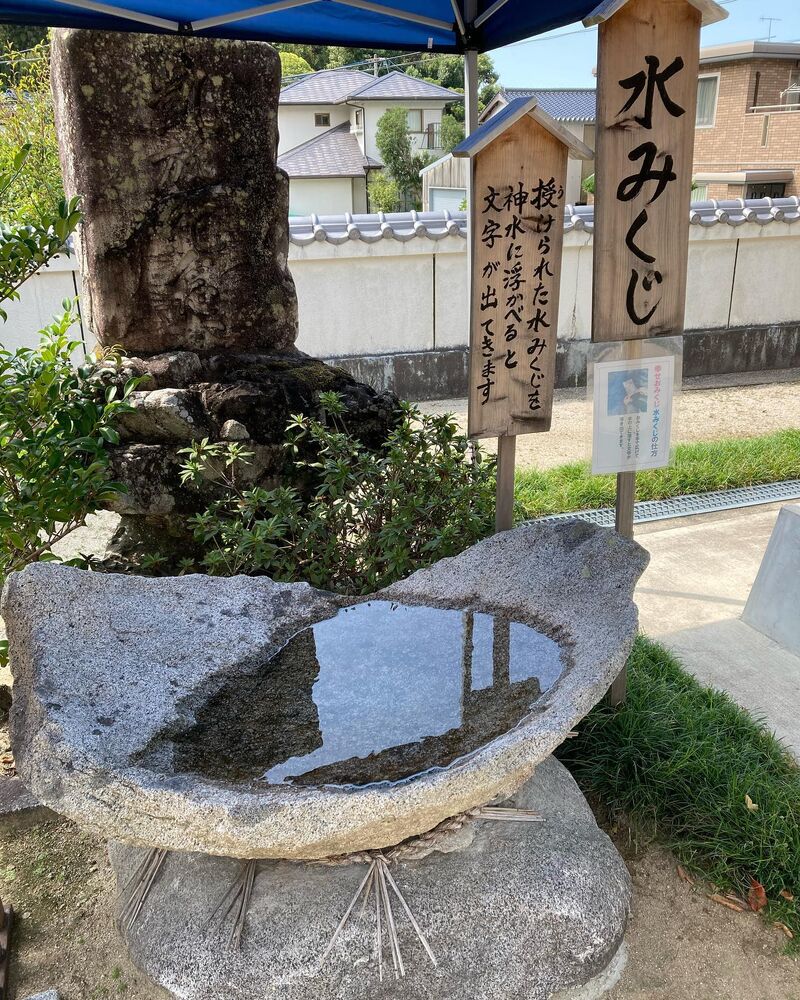 画像1457