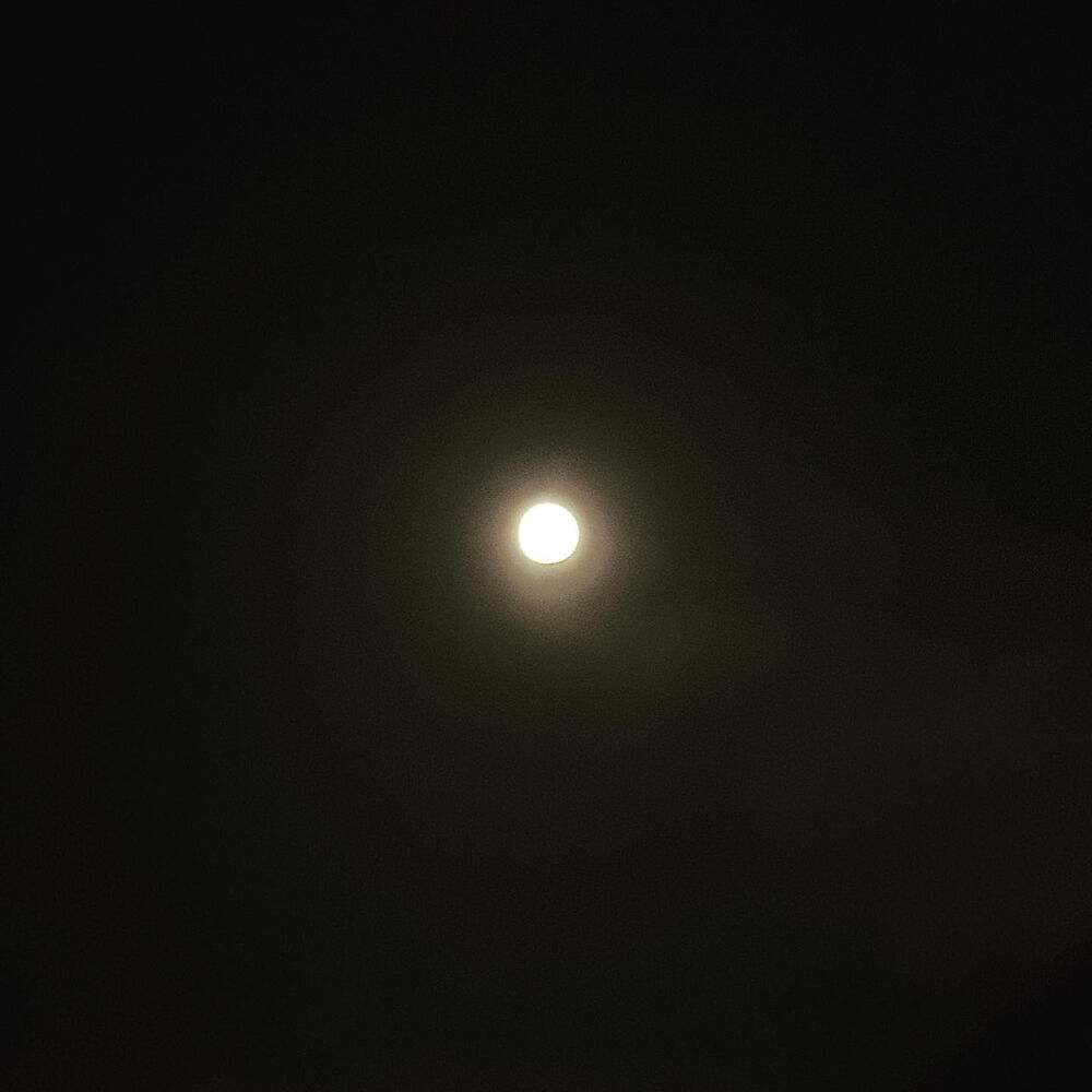 画像1475