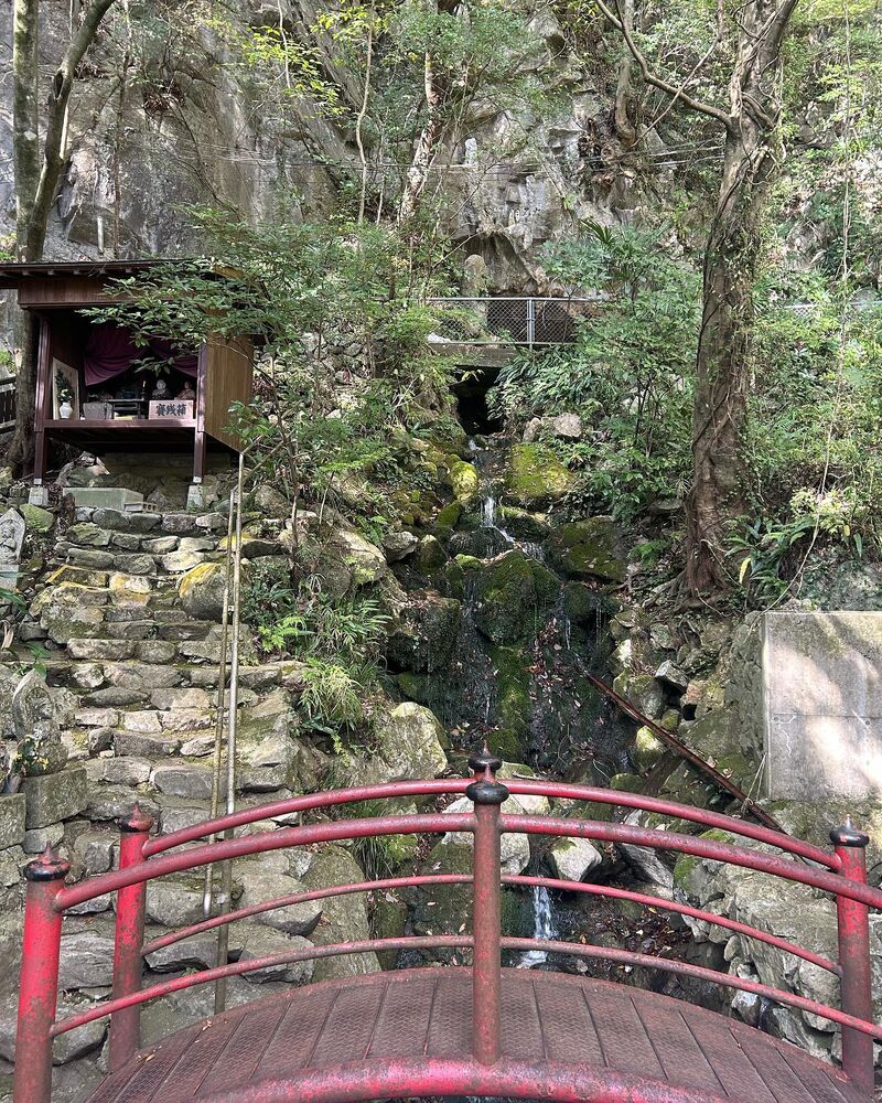 画像1530