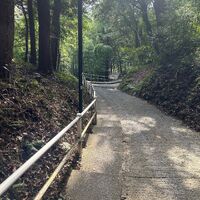 画像1531