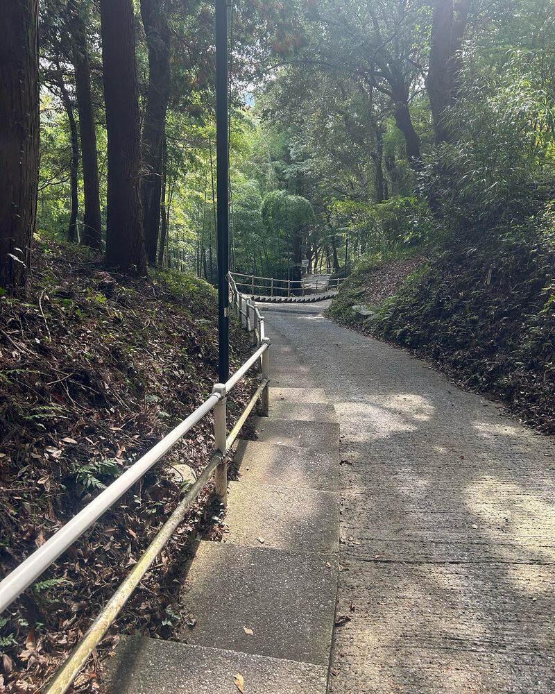 画像1531