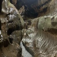 画像1537