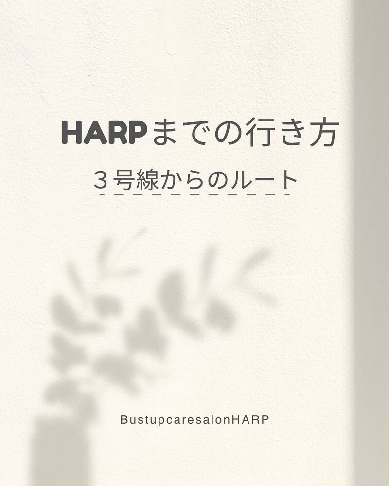 画像2454