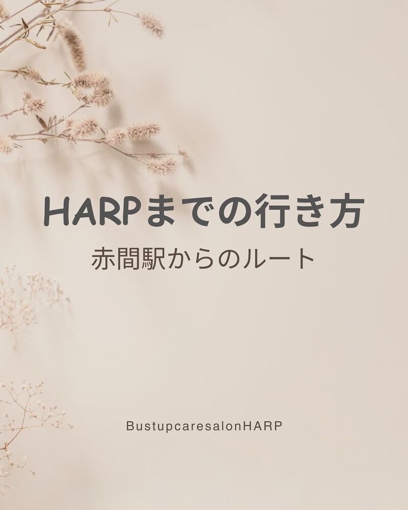 画像2476