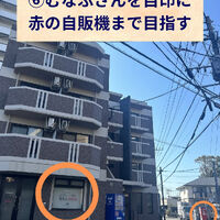 画像2482