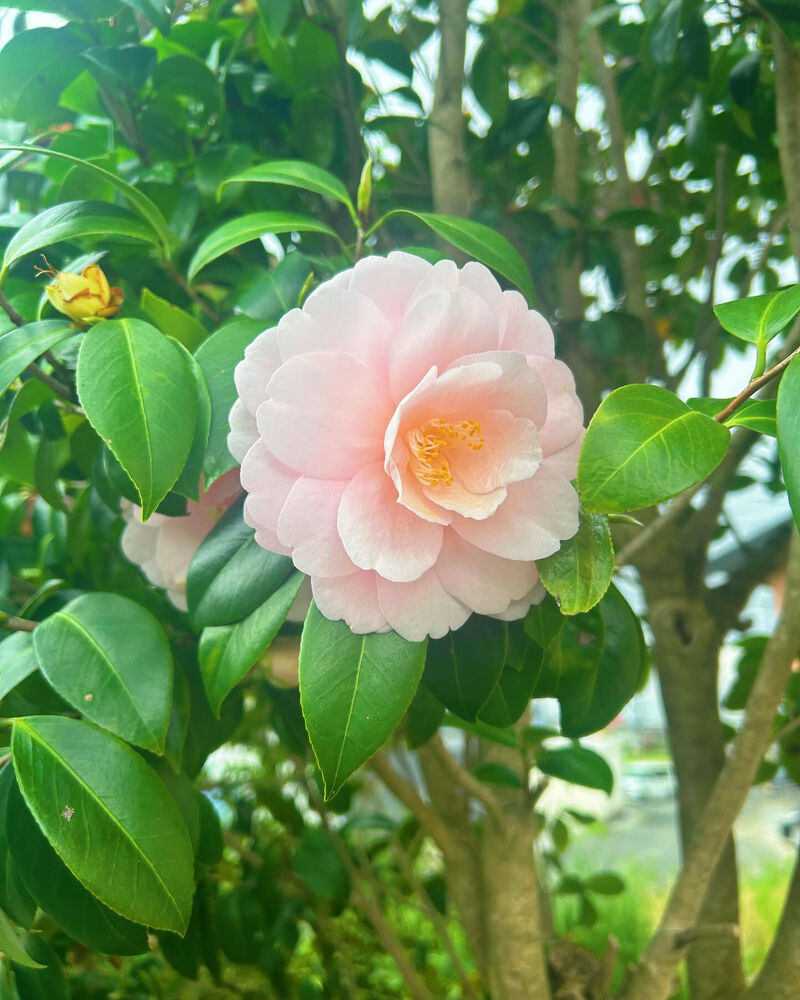 画像2515