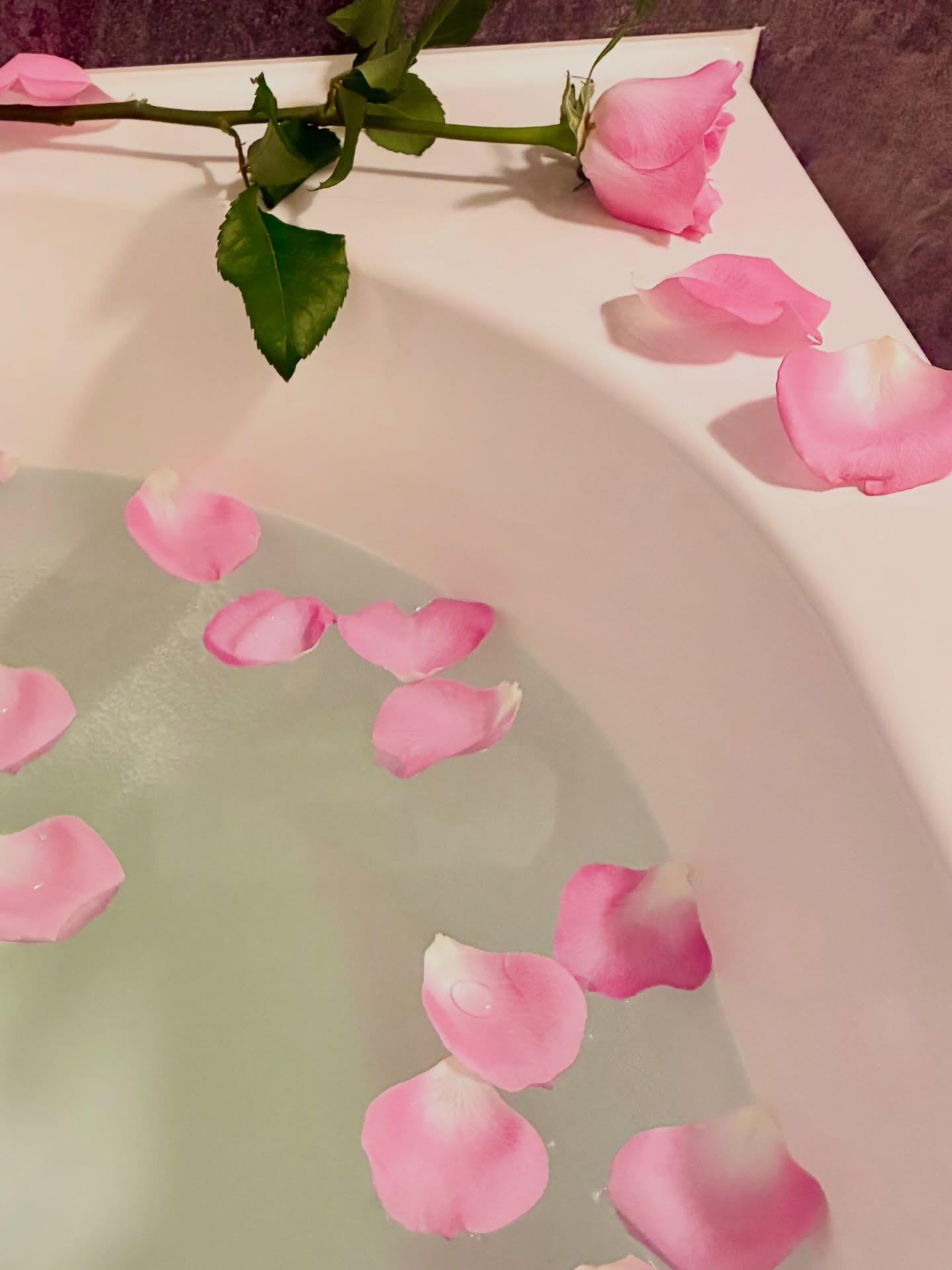 お風呂🛁に浮かべてみた🤗🌹